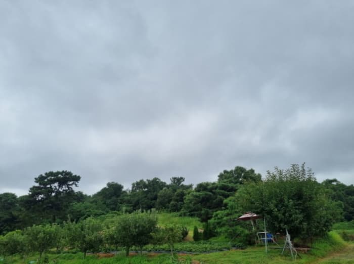 경기도 화성시 서신면 송교리 산70-4 외 7 필지