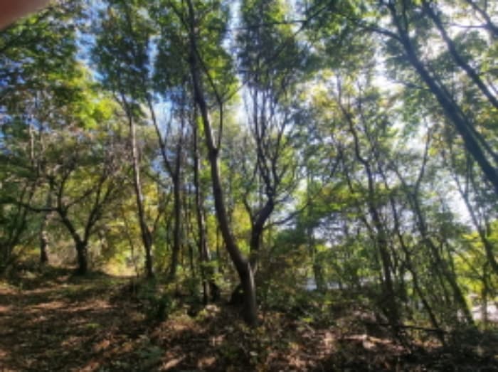 경기도 화성시 송산면 중송리 산116-4