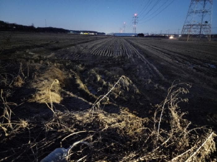 경기도 화성시 장안면 장안리 2649