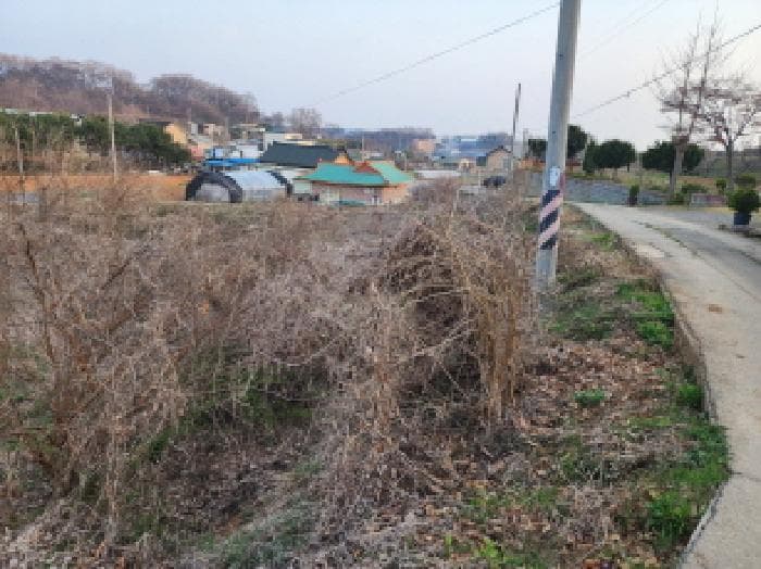경기도 화성시 우정읍 한각리 381-1 외 1 필지