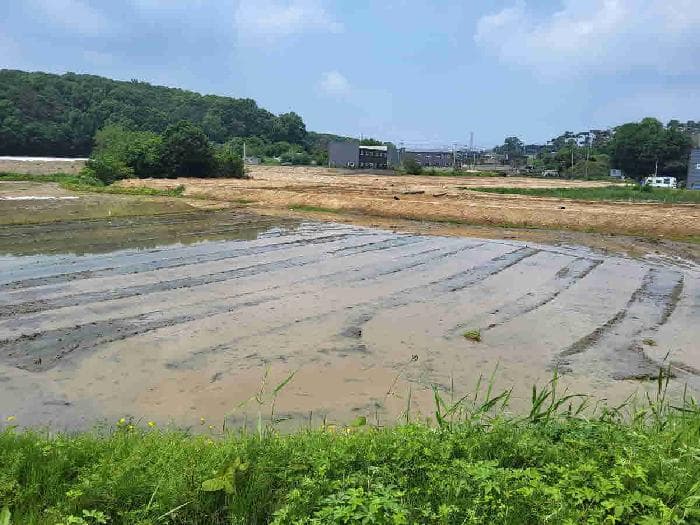 경기도 화성시 향남읍 구문천리 589-1