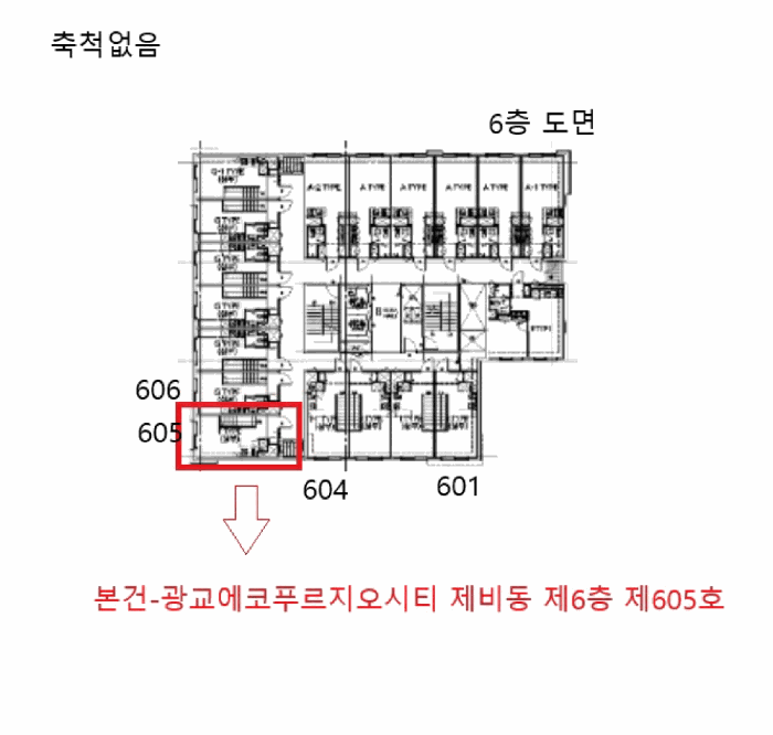 경기도 수원시 영통구 이의동 1257-1 광교에코푸르지오시티 비동 6층605호