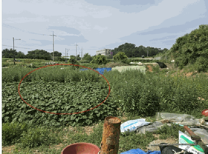 경기도 화성시 우정읍 매향리 939-13 외 1 필지