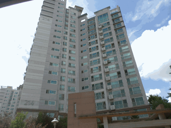 경기도 용인시 기흥구 공세동 714 탑실마을대주피오레2단지 214동 9층903호