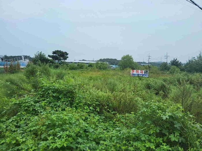 경기도 화성시 장안면 수촌리 397-15