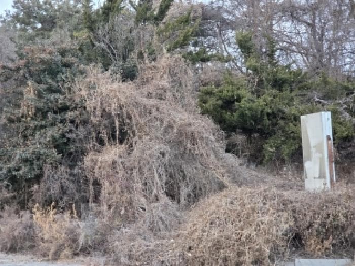 경기도 화성시 송산면 사강리 474-4