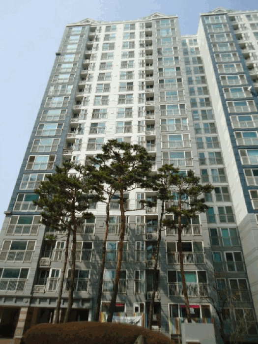 경기도 화성시 향남면 발안리 305 화성발안우림필유 110동 3층304호