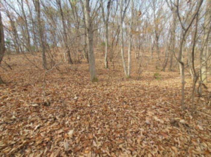 경기도 광주시 곤지암읍 열미리 산120-8 외 3 필지