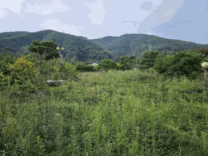 경기도 광주시 회덕동 156-3 외 2 필지