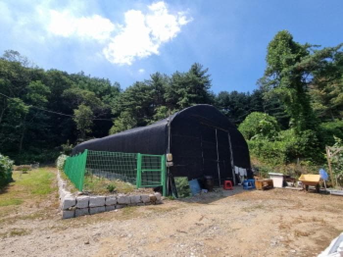 경기도 하남시 천현동 산38-1