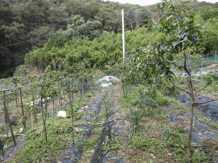 경기도 성남시 분당구 대장동 279