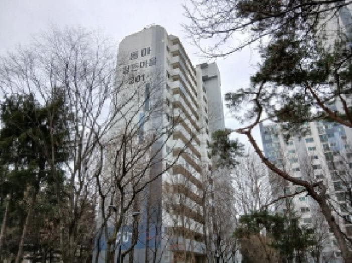 경기도 성남시 분당구 정자동 198 정든마을 201동 7층704호