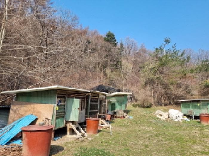 경기도 광주시 곤지암읍 장심리 산59-1