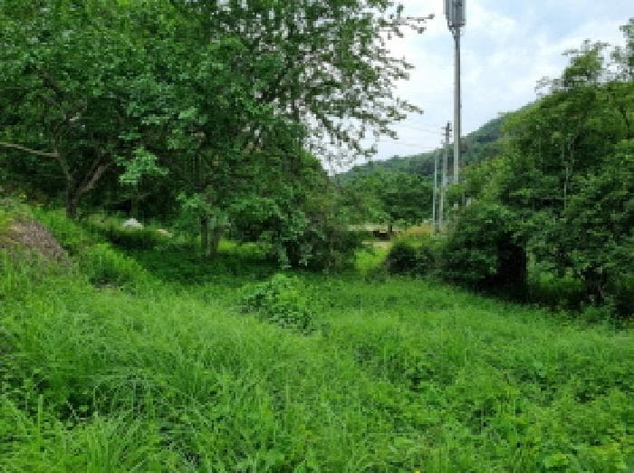 경기도 광주시 퇴촌면 도수리 497-1
