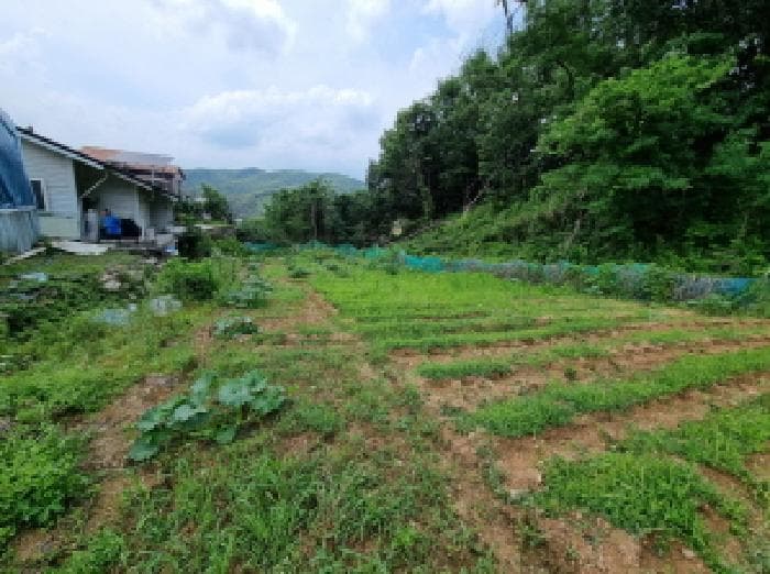 경기도 광주시 초월읍 무갑리 271-1 외 6 필지