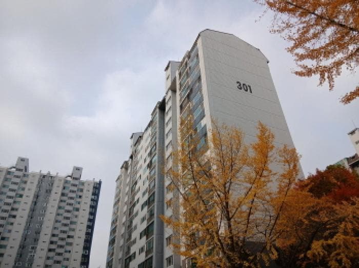 경기도 성남시 분당구 수내동 73 푸른마을 301동 1층105호