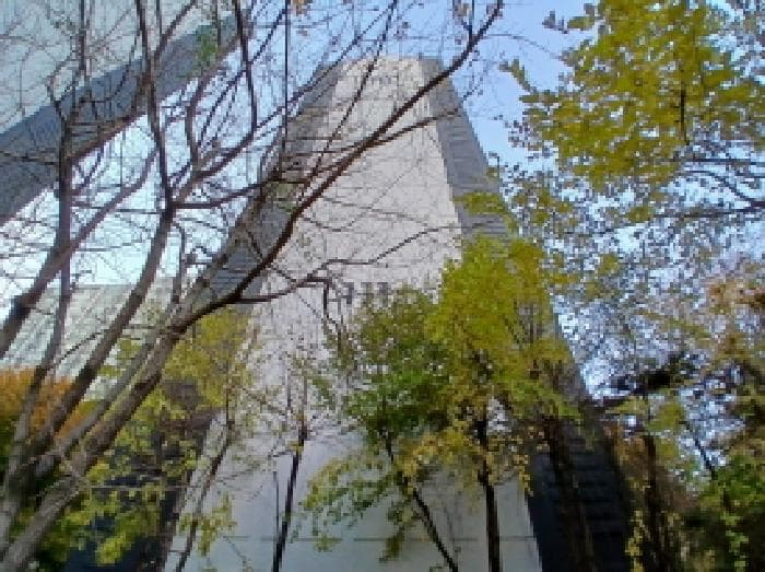 경기도 성남시 중원구 하대원동 539 성남자이 111동 11층1101호