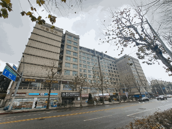 경기도 성남시 분당구 야탑동 219-1 아델파크빌  8층822호
