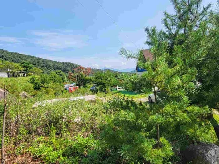 경기도 양평군 강하면 동오리 771-52 외 1 필지