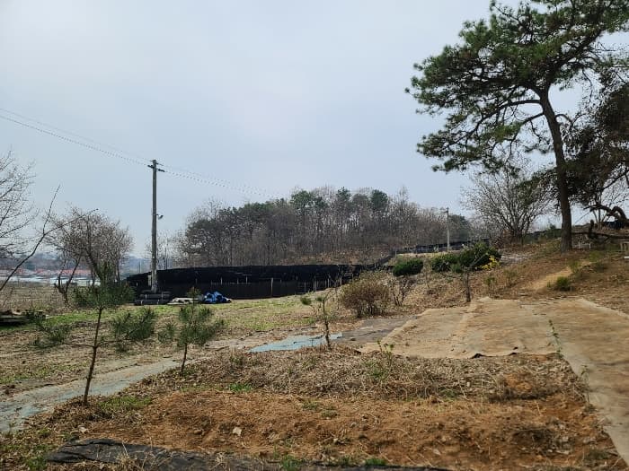 경기도 여주시 세종대왕면 오계리 416-1 외 2 필지