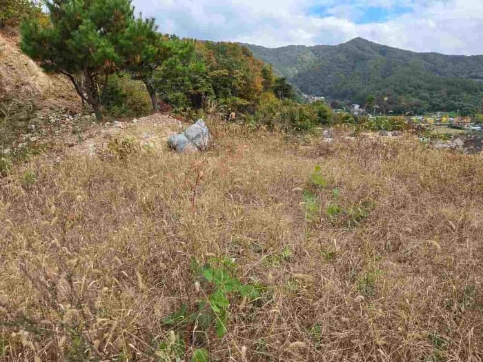 경기도 양평군 용문면 연수리 654-47