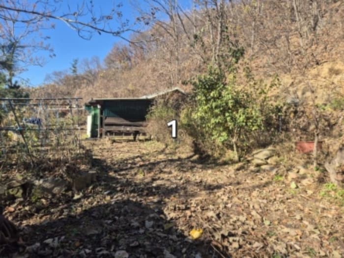 경기도 양평군 강하면 성덕리 산6-12 외 1 필지