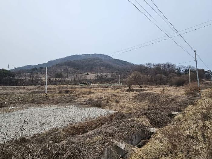 경기도 이천시 율면 월포리 767