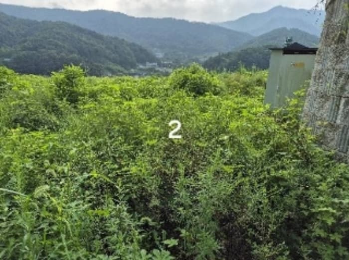 경기도 양평군 강하면 항금리 374-7 외 2 필지