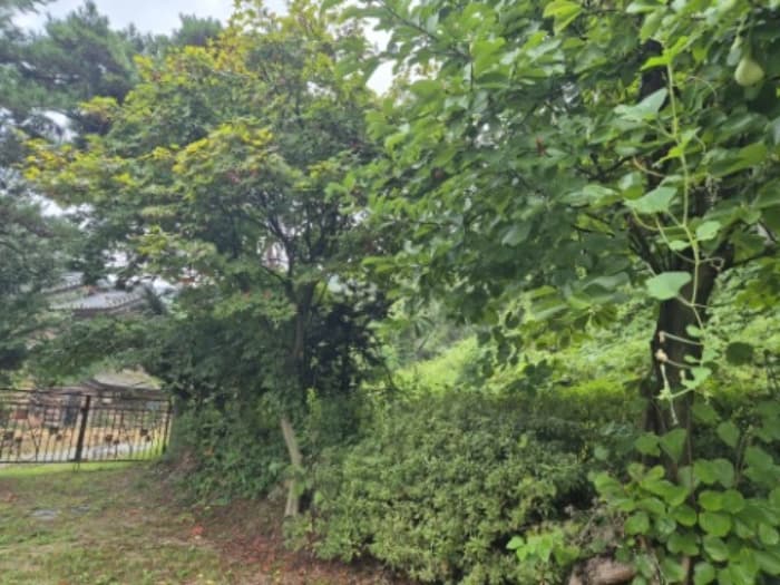 경기도 양평군 강하면 미산길 72