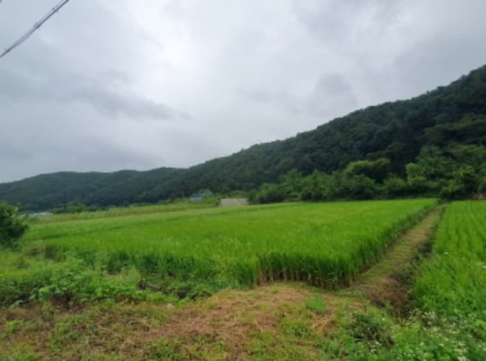 경기도 양평군 단월면 봉상리 115