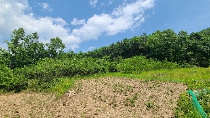 경기도 양평군 지평면 일신리 산48-4