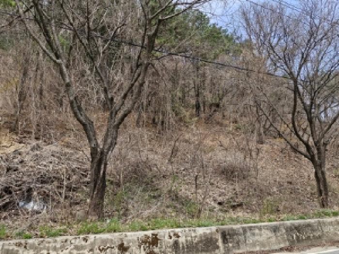 경기도 양평군 서종면 도장리 산14-37