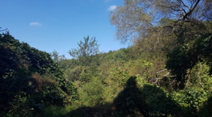 경기도 안성시 삼죽면 배태리 113