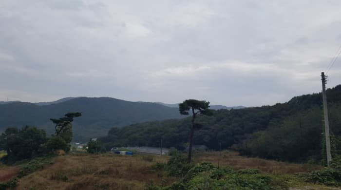 경기도 안성시 보개면 보개원삼로 474-61 (가동) 외 4개 동