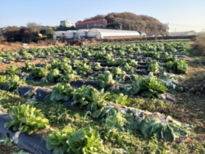 경기도 평택시 청북읍 한산리 489