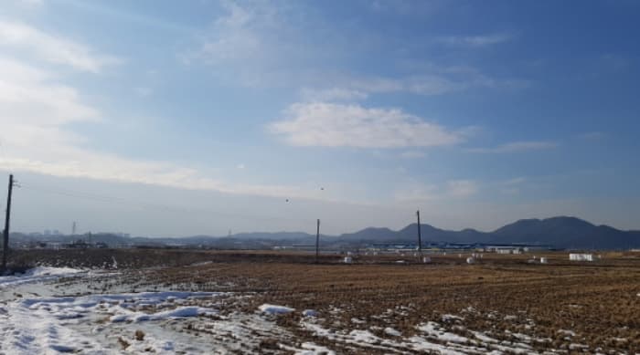 경기도 안성시 대덕면 소내리 172