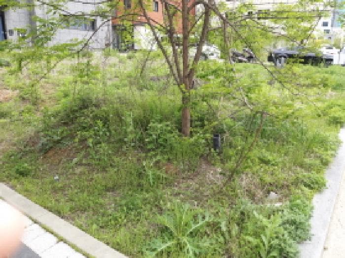 경기도 평택시 고덕동 2474-2