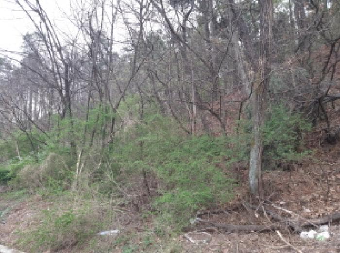 경기도 평택시 독곡동 산10