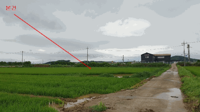 경기도 평택시 현덕면 대안리 114