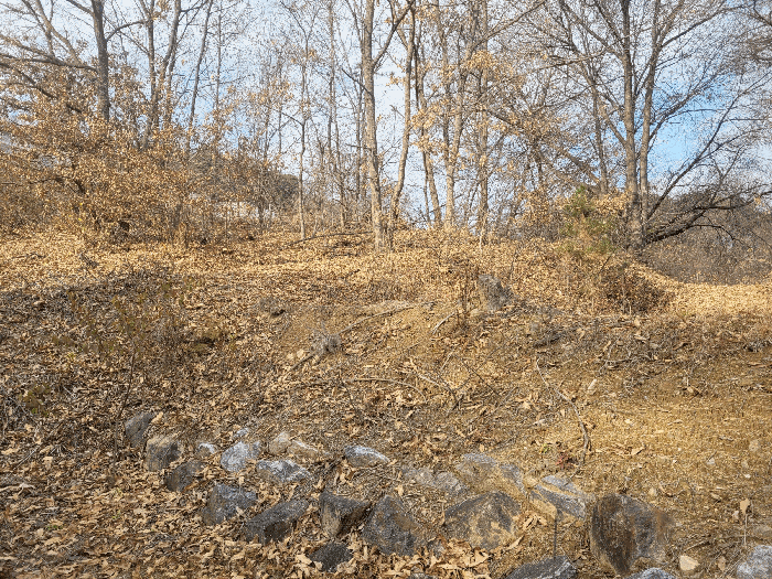 경기도 안성시 죽산면 용설리 산213-1