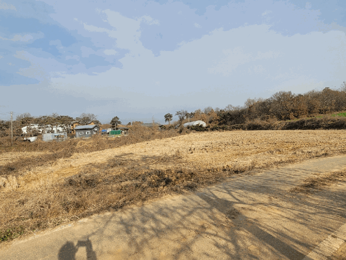 경기도 평택시 포승읍 석정리 산149-4