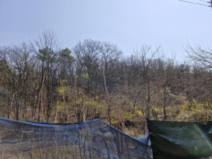 경기도 안산시 상록구 사사동 산59-4