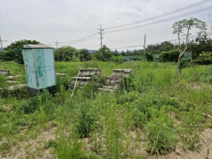 경기도 안산시 단원구 대부동동 1199
