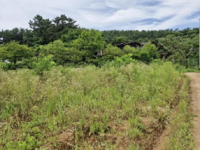 경기도 안산시 단원구 대부남동 479-6