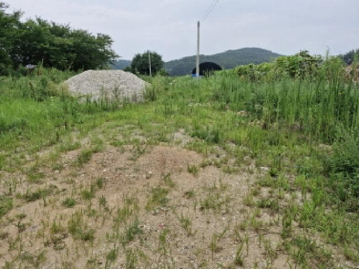 경기도 안산시 단원구 대부남동 679-5 외 5 필지