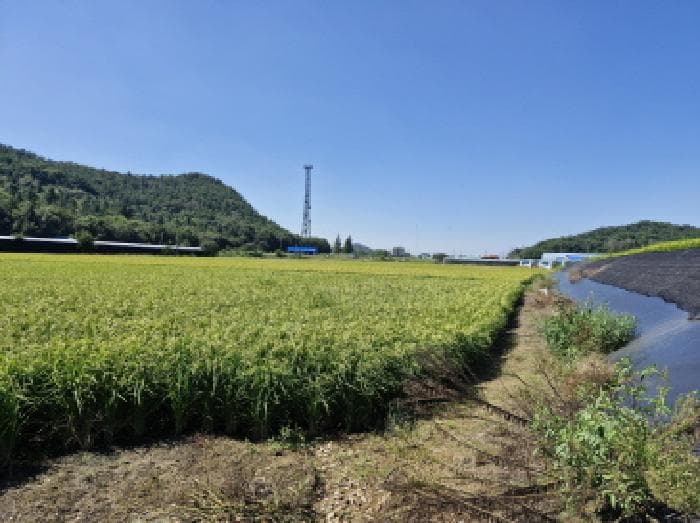 경기도 안산시 단원구 대부남동 1050-7