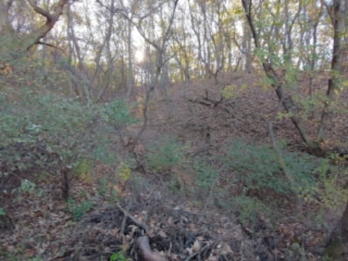 경기도 과천시 주암동 산19-23 외 5 필지