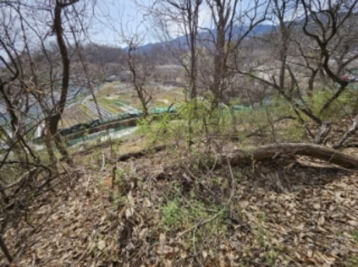 경기도 과천시 과천동 산69-13 외 2 필지
