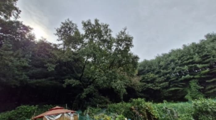 경기도 군포시 산본동 산104-1