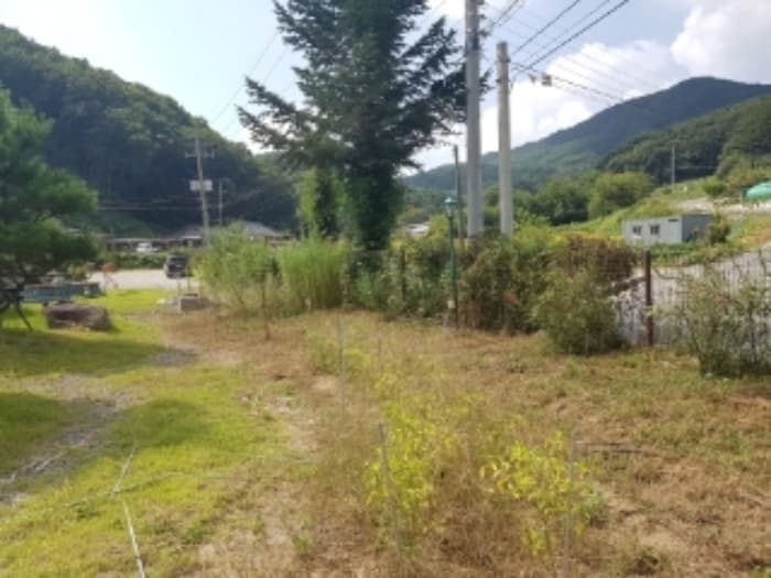 강원특별자치도 홍천군 홍천읍 독골길 15 외 2 필지
